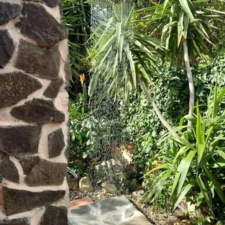 Bibi - Con Giardino *