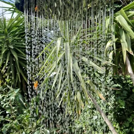 别墅 Bibi - Con Giardino 维拉西米乌斯