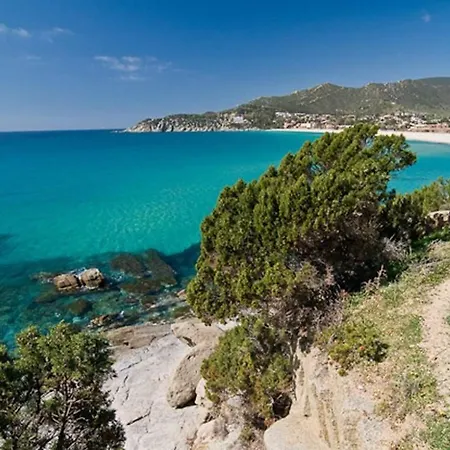 Bibi - Con Giardino *